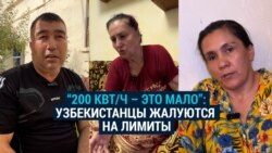 "У меня один холодильник и вентилятор, и на это уже не хватает!" Жители Узбекистана недовольны ограничениями на электричество