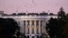 U.S. -- Birds fly over the White House at dusk, the day after a presidential election victory was called for former Vice President Joe Biden, in Washington, U.S., November 8, 2020. 